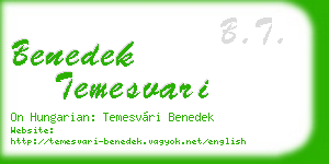 benedek temesvari business card